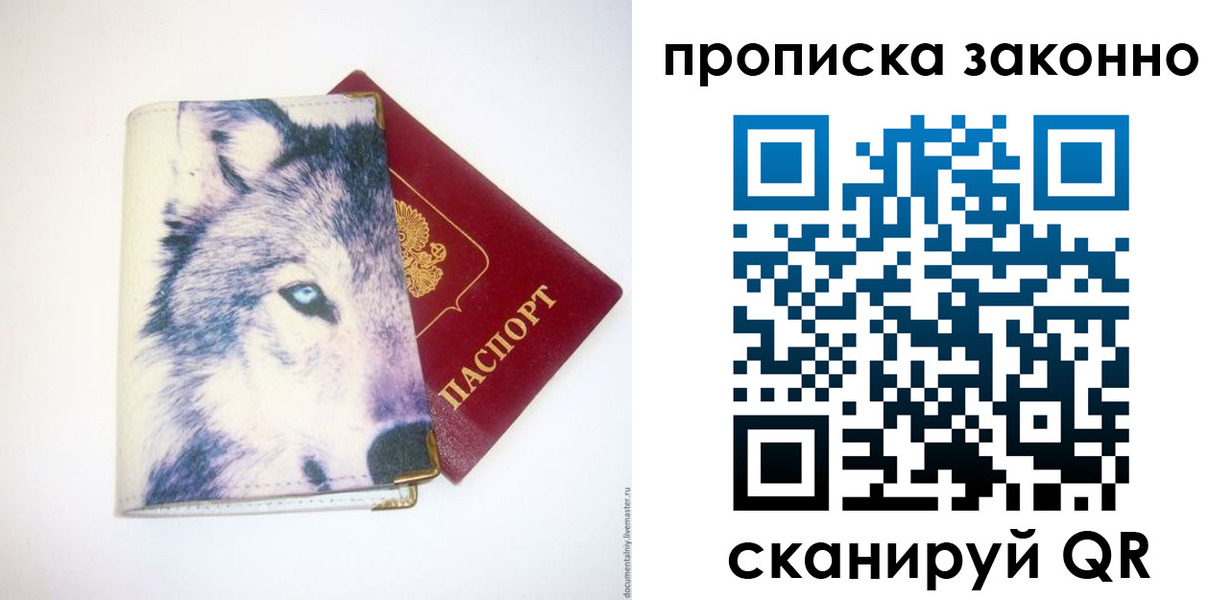 временная регистрация поиск в Челябинской области